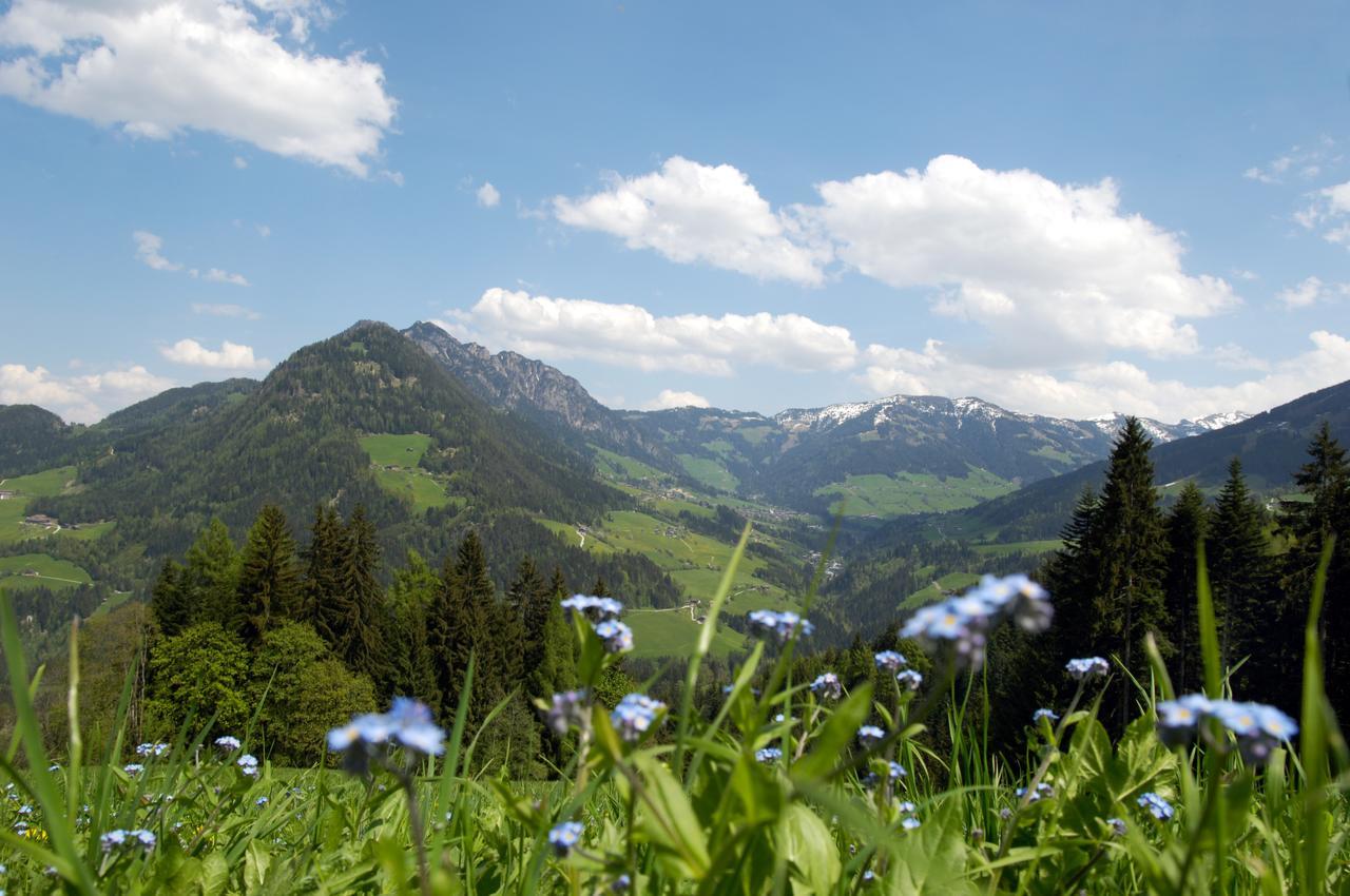 Bergchalet Rauchenhof 라이스임알바흐탈 외부 사진